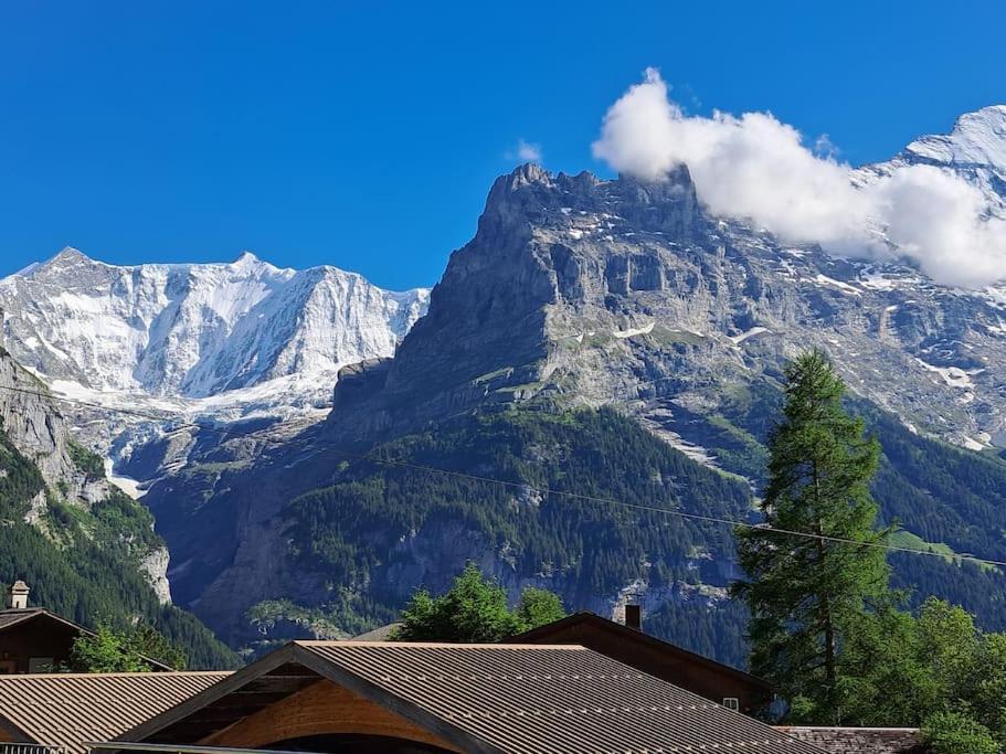 Chalet Engi Apt 1 For Up To 8 People Grindelwald Ngoại thất bức ảnh