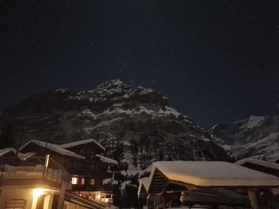 Chalet Engi Apt 1 For Up To 8 People Grindelwald Ngoại thất bức ảnh