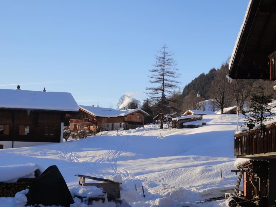 Chalet Engi Apt 1 For Up To 8 People Grindelwald Ngoại thất bức ảnh