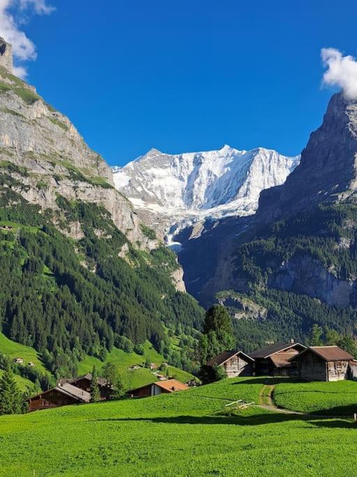 Chalet Engi Apt 1 For Up To 8 People Grindelwald Ngoại thất bức ảnh